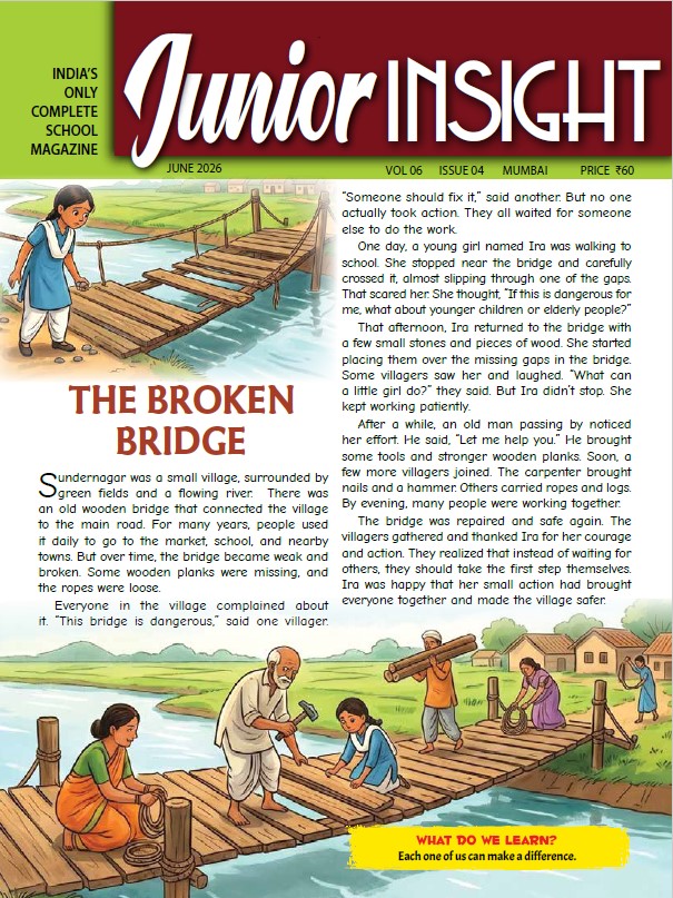 Junior Insight